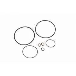 AOS-R O-Ring Service Kit Radium Engineering