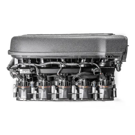 Fuel Rails for Audi R8 Lamborghini Huracan Radium Engineering