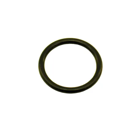 3/4 O-Ring for Motorcycle Bottle Valve fits 2.5Lb Bottle Nitrous Express NX 11027