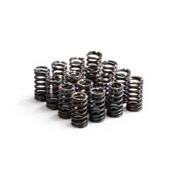 Sprężyna zaworów sztywna RTMG Performance dla 1.4 TSI EA111