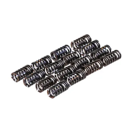 Sprężyna zaworów sztywna RTMG Performance dla 1.4 TSI EA111