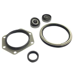 Komplet łożysk i uszczelniaczy zwrotnicy IOD Performance Nissan Patrol Y60 (jedna strona)