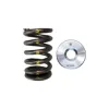 Pojedyncze sprężynki i talerzyki zaworowe tytanowe BC Brian Crower BC0250 Nissan TB48