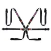 Sparco Martini Racing Harness Black FIA Approved 8853-2016 up to 2028