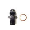 6AN Male to M12x1.25 Male Fitting Adapter Radium Engineering