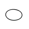 O ring pokrywy dekla Winters 12175