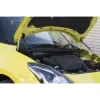 GReddy Carbon Bonnet Struts for Suzuki Swift Sport ZC33S (2017+)