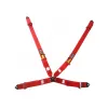 GT2I Sedan Harness 4 Point 3