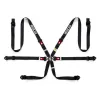 Sparco Harness 6-Points 2