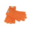 CAR PRO Microfiber Gloves 2pcs.