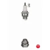 Świeca Zapłonowa NGK 7421 BMR6A