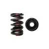 Podwójne sprężynki i talerzyki zaworowe stalowe BC Brian Crower BC0030S Honda H22 VTEC H22A