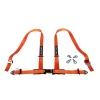 DriftShop 4 Point Harness 2