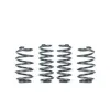 RacingLine Sports Spring Kit for MQB EVO VW Golf 8 R 2.0 TSI