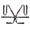 Sparco Martini Racing Harness Black FIA Approved 8853-2016 up to 2028