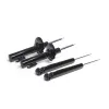 RacingLine Sport Damper Kit MQB Multi Link rear 55mm strut not 8V S3