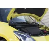 GReddy Carbon Bonnet Struts for Suzuki Swift Sport ZC33S (2017+)
