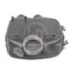 Performence Intercooler Kit Wagner Tuning for BMW M2/M3/M4 S55 with Logo