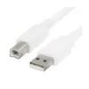 Ecumaster Kabel 96186 USB 2.0 USB A wtyk - USB B wtyk 1m biały