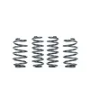 RacingLine Sports Spring Kit A5-Platform for VW Golf 6R Jetta Gli Skoda Octavia Passat CC