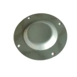 Osłona Koła Zębatego Wałka Rozrządu AVCS Wylot 13191AA010 Subaru