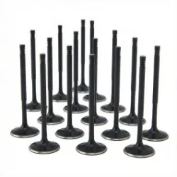 ZRP Std Zestaw Zaworów Dolotowych Zawory Dolotowe Black Nitride do Audi VW Volkswagen 4.2L R8 32V 8V FSI