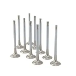 ZRP Std Zestaw Zaworów Wydechowych Zawory Wydechowe Inconel do Audi VW Volkswagen 2.5L TFSI TT-RS RS3 EA855