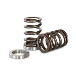 Sprężynki zaworowe Kelford Cams Subaru EZ30