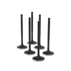 ZRP Std Zestaw Zaworów Dolotowych Zawory Dolotowe Black Nitride do BMW Mini Cooper 1.5L B38 3-Cylinder