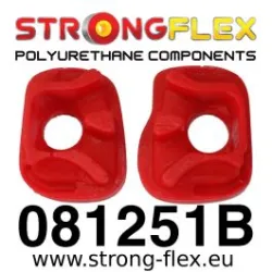 081251B: Wkładki przedniej poduszki silnika Honda Civic