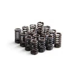 Sprężyna zaworów sztywna RTMG Performance dla 1.4 TSI EA111