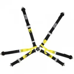 GT2I Pro Single Seater Harness 6-Point Black FIA Approved 8853-2016 up to 2029