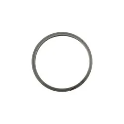 Winters Pierścień zabezpieczający tarczę uszczelniającą 7653