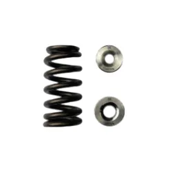 Pojedyncze sprężynki i talerzyki zaworowe tytanowe Beehive BC Brian Crower BC0326 Toyota/BMW B58