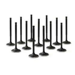 ZRP Std Zestaw Zaworów Dolotowych Zawory Dolotowe Black Nitride do Toyota Supra 3.0L 2JZ