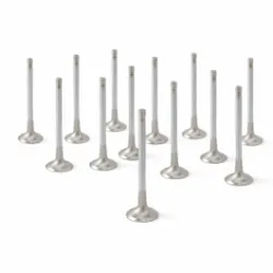 ZRP Std Zestaw Zaworów Wydechowych Zawory Wydechowe Inconel do Lamborghini 5.2L Gallardo Huracan 2008-