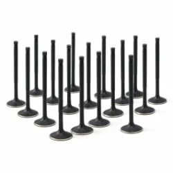 ZRP Std Zestaw Zaworów Dolotowych Zawory Dolotowe Black Nitride do Lamborghini 5.2L Gallardo Huracan 2008-