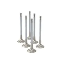 ZRP Std Zestaw Zaworów Wydechowych Zawory Wydechowe Inconel do BMW Mini Cooper 1.5L B38 3-Cylinder