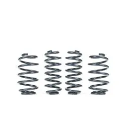 RacingLine Sports Spring Kit for Audi S4 B9 3.0T Saloon