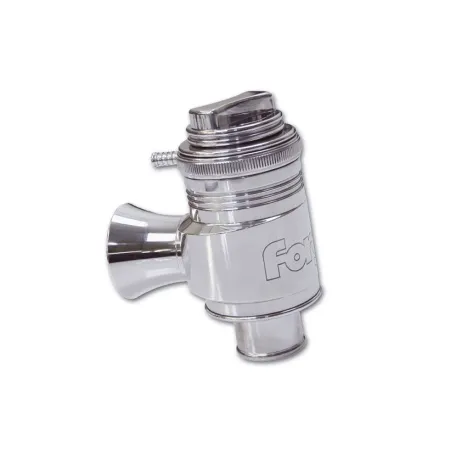 Type RS Valve - Atmospheric