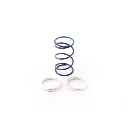 Wastegate Springs & Shims
