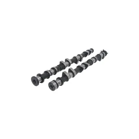Wałki rozrządu Kelford Cams Mazda MZR 2.0L LF-VE Stage 2 266/276