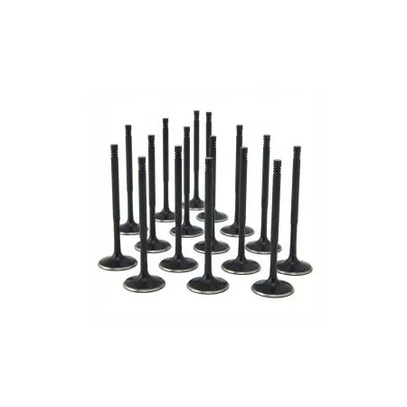 ZRP Std Zestaw Zaworów Dolotowych Zawory Dolotowe Black Nitride do Audi VW Volkswagen 4.2L R8 32V 8V FSI