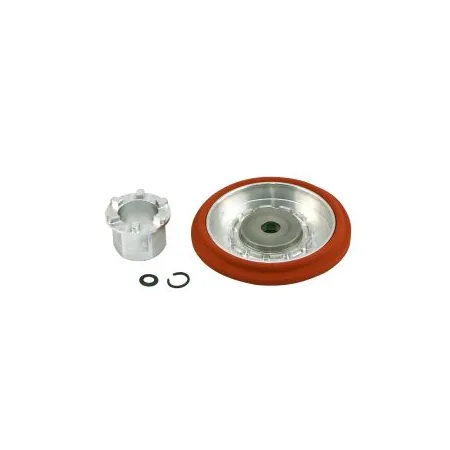Gen-V WG60 CG Diaphragm Replacement kit