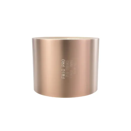 Sportowy wkład katalizatora benzyna FMIC.PRO Euro 3 100 cpsi Średnica 130mm Długość 100mm