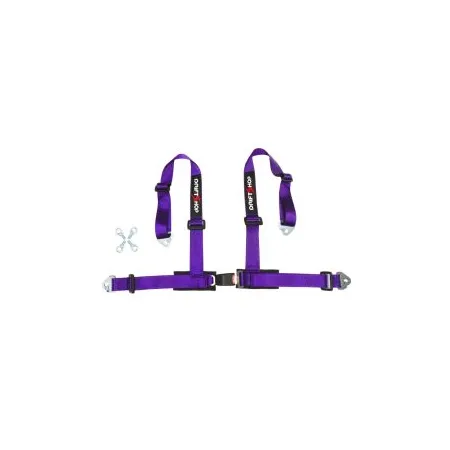 DriftShop 4 Point Harness 2" Purple Road Approved ECE
