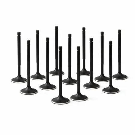 ZRP Std Zestaw Zaworów Dolotowych Zawory Dolotowe Black Nitride do Toyota Supra 3.0L 2JZ