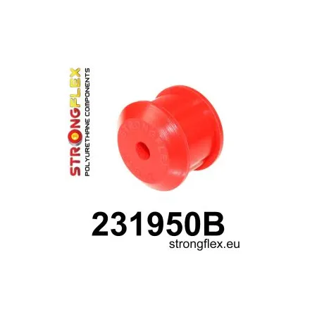 231950B: Tuleja ramy tylnej osi – tylna