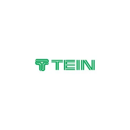 Tein Green Logo Sticker - 30 cm