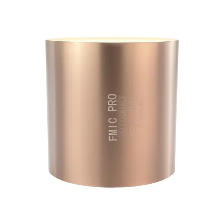 Sportowy wkład katalizatora benzyna FMIC.PRO Euro 4 200 cpsi Średnica 100mm Długość 100mm